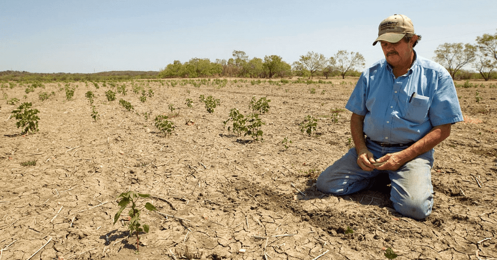 Эрозия почв обрекает кыргызстанцев на трудовую миграцию изображение публикации