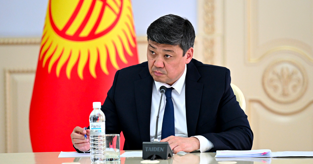 Замглавы кабмина поручил увеличить поставки рыбы, курицы и молочки из Кыргызстана в Россию изображение публикации