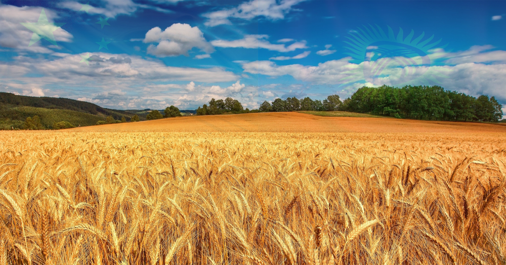 Кыргызстан планирует продавать свои товары на маркетплейсах Китая изображение публикации