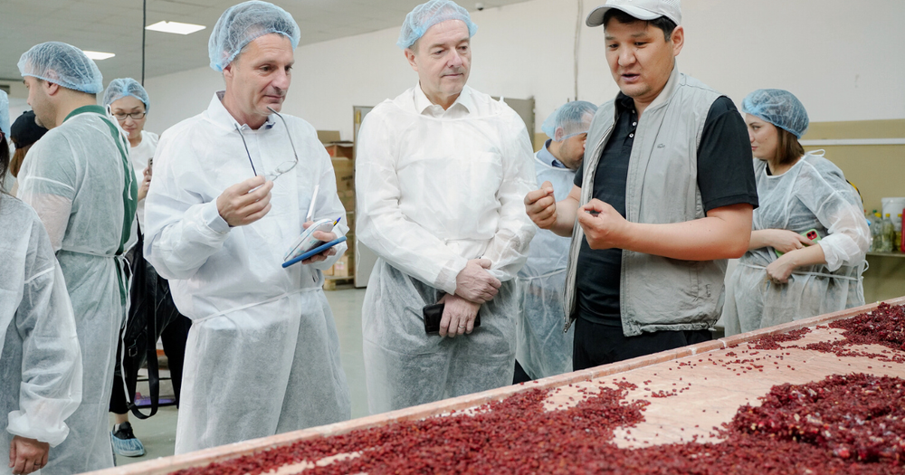 Accelerate Prosperity выделил предприятиям Кыргызстана €600 тысяч в прошлом году изображение публикации