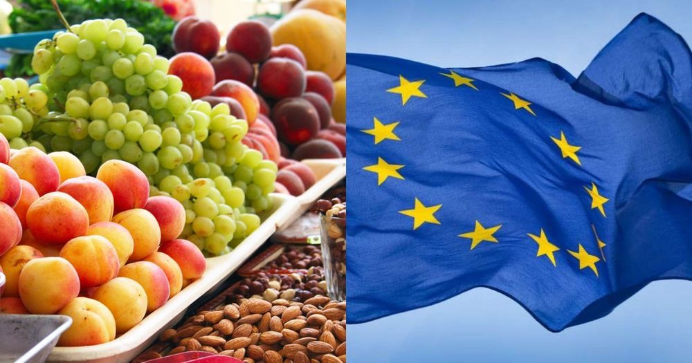 Рынок Евросоюза не очень перспективен для экспортеров Кыргызстана   — мнение эксперта изображение публикации