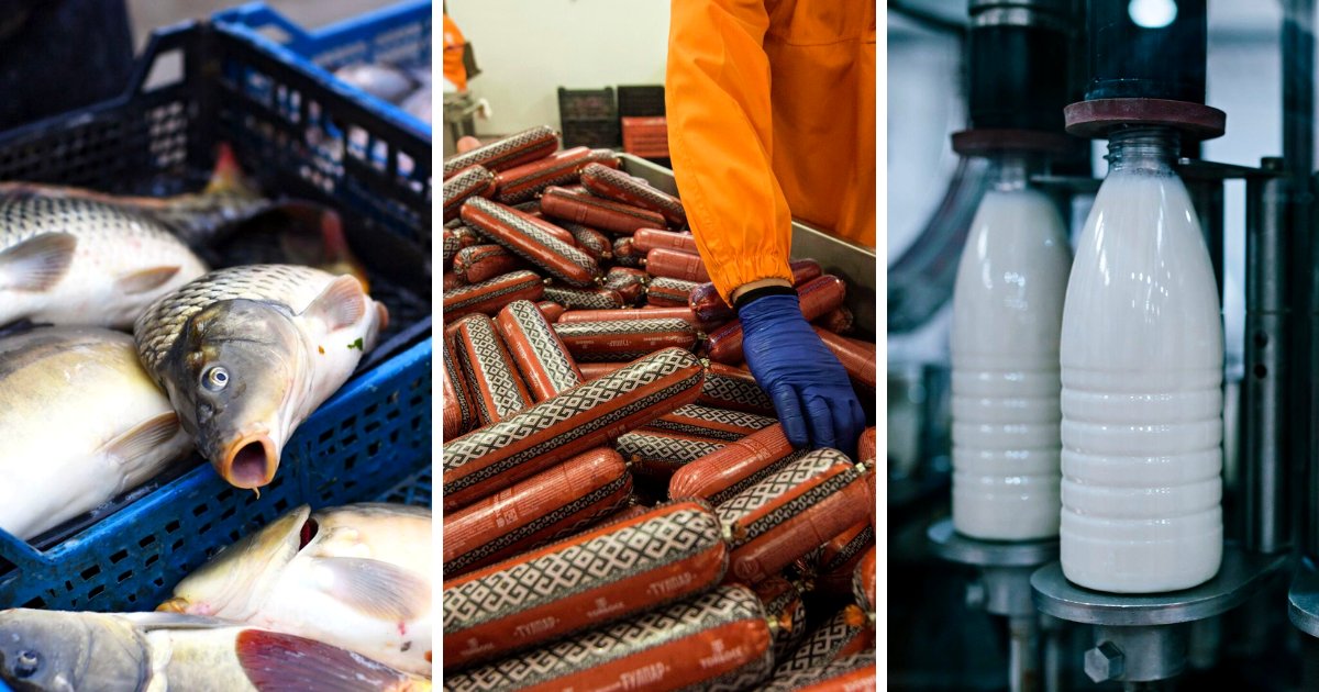 Запреты России на поставку продуктов из Кыргызстана - обоснованные претензии или политическое давление?