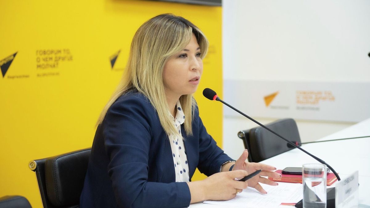 В Кыргызстане на пять лет освободят от налогов заводы по выпуску электромобилей - замминистра экономики КР