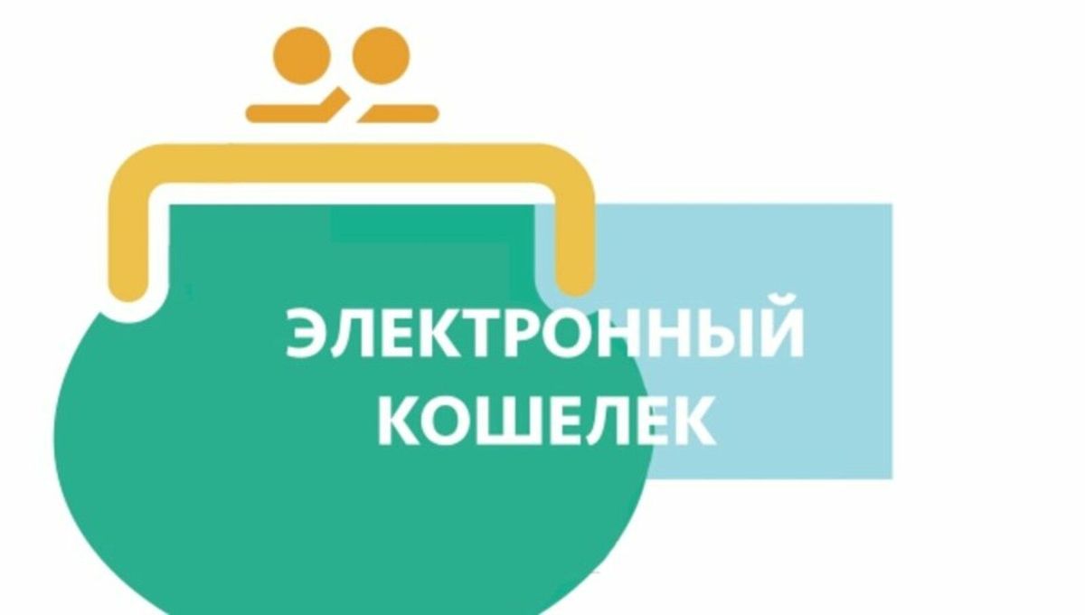 Средства на электронных кошельках будут защищены, как и вклады в банках — Агентство по защите депозитов