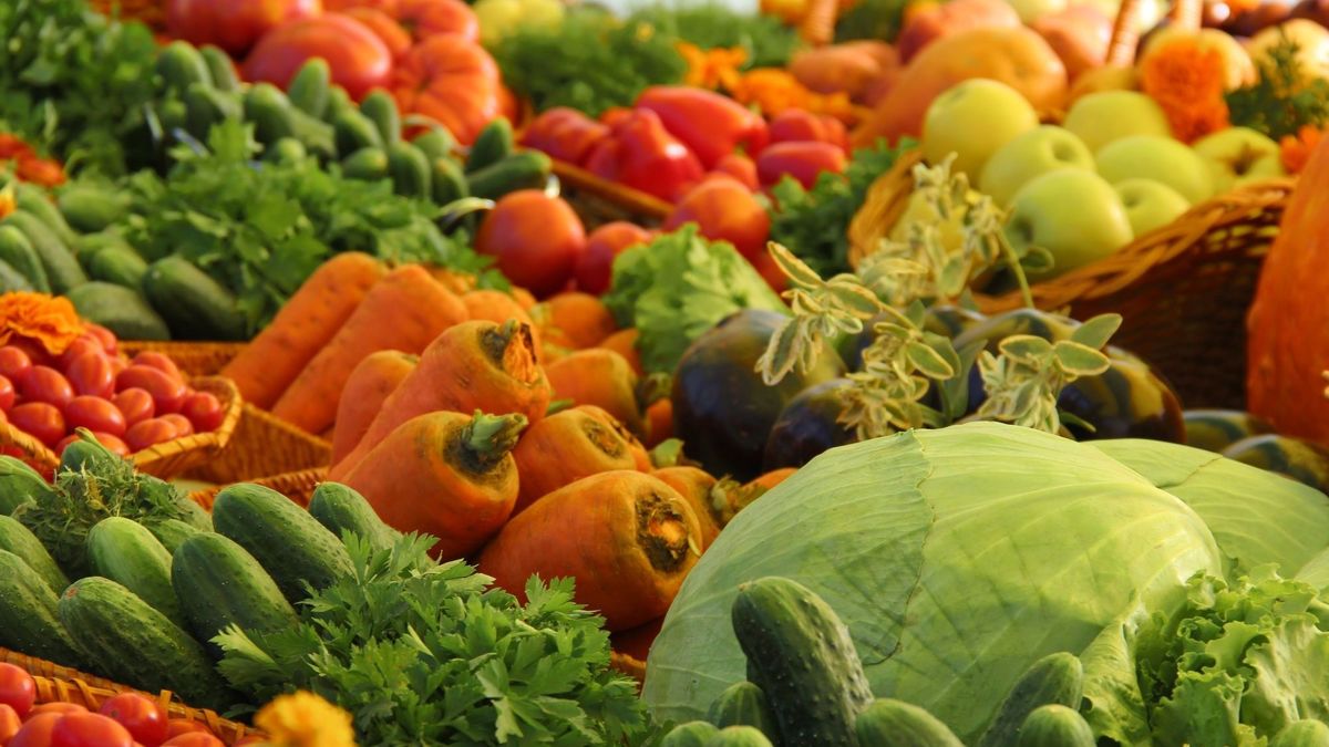 Оборот сельхозпродукции между Кыргызстаном и Индией составил $7.4 млн
