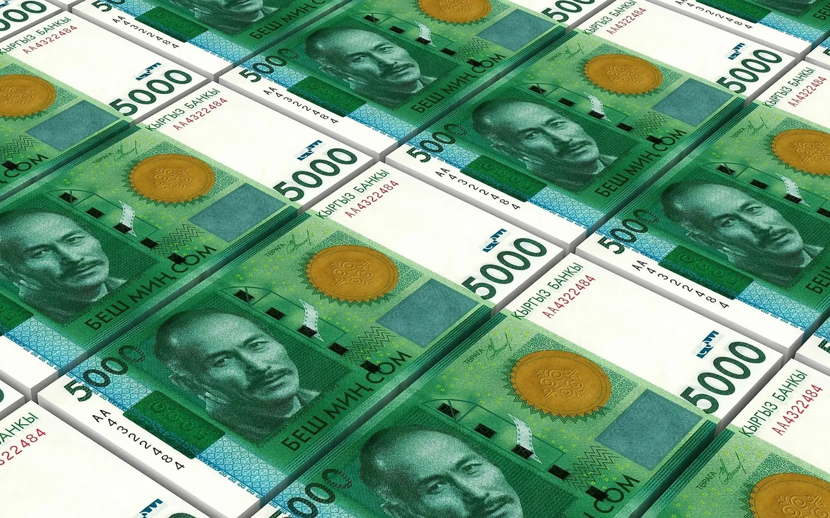 За девять месяцев 2023 года доход от платных госуслуг в КР вырос на 21%