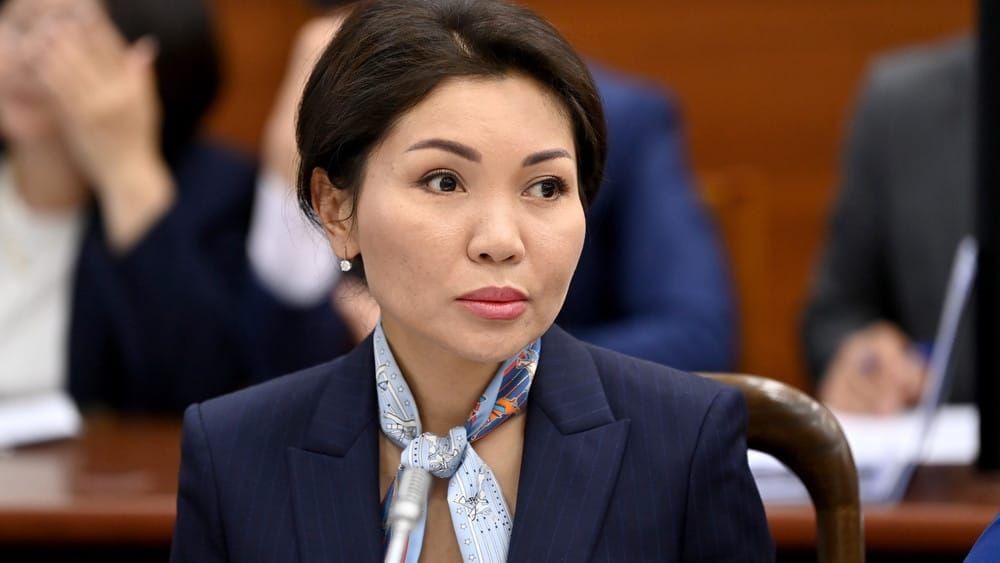 Кабмин не должен перекладывать ответственность за свои недостатки на владельцев рынков — Эльвира Сурабалдиева
