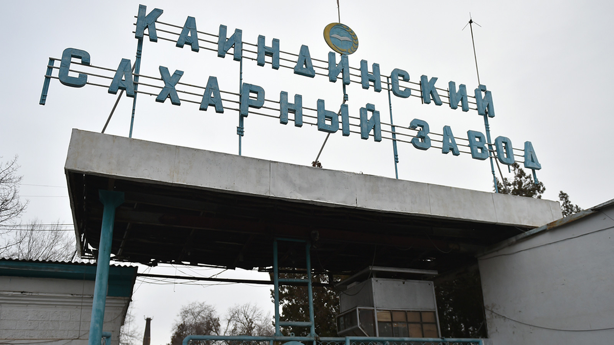 "Каинды-Кант" по итогам 2022 года выплатил 174.5 млн сомов дивидентов