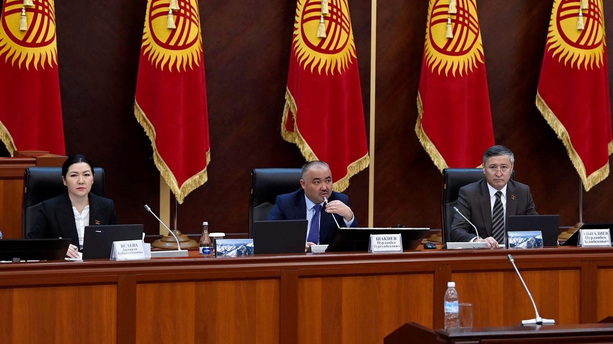 Депутаты ЖК хотят голосовать отдельно за каждого кандидата при назначении членов кабмина