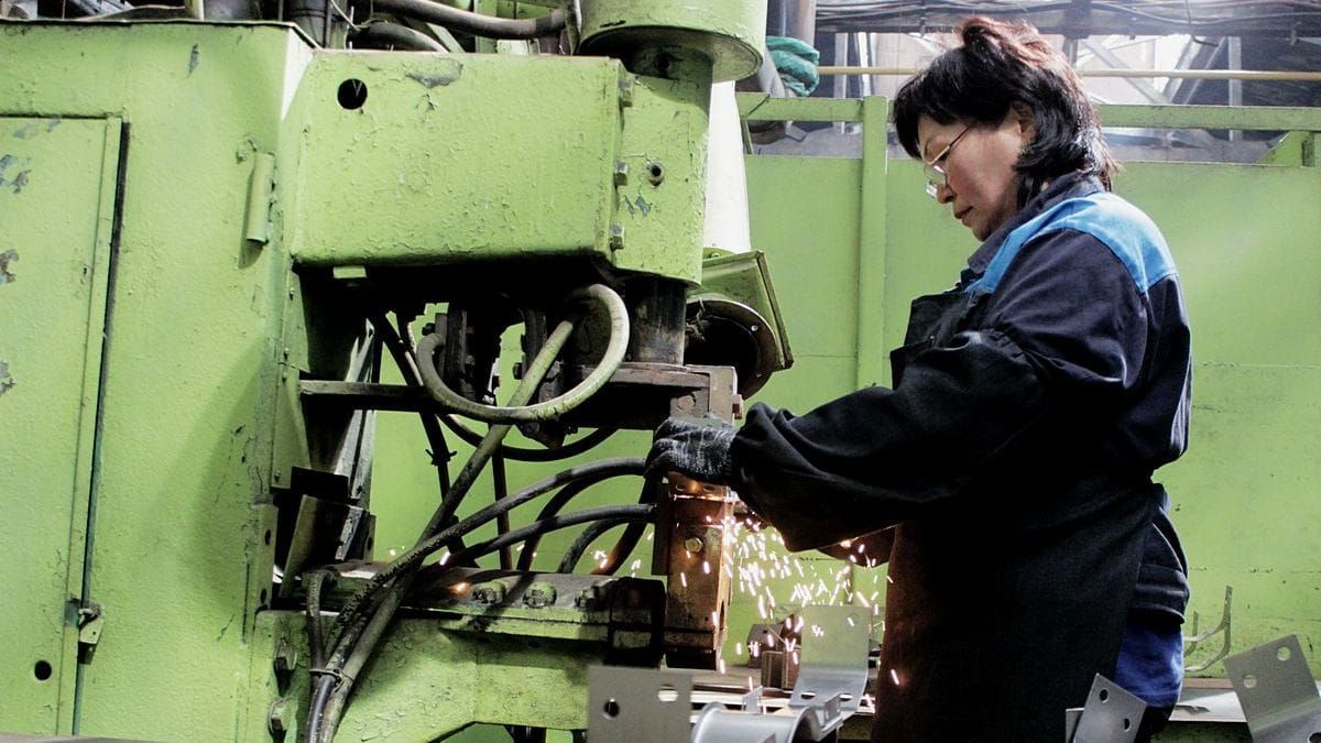 Государство обучило 8.5 тысячи безработных граждан – больше половины из них нашли работу