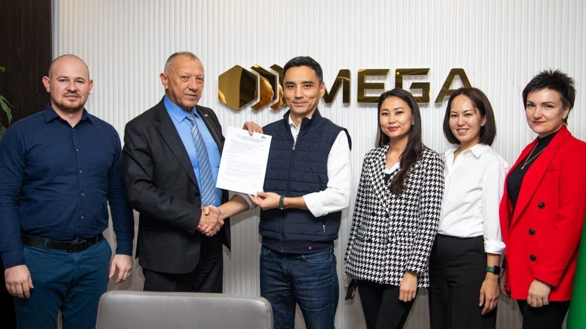 MEGA: Год динамики и развития