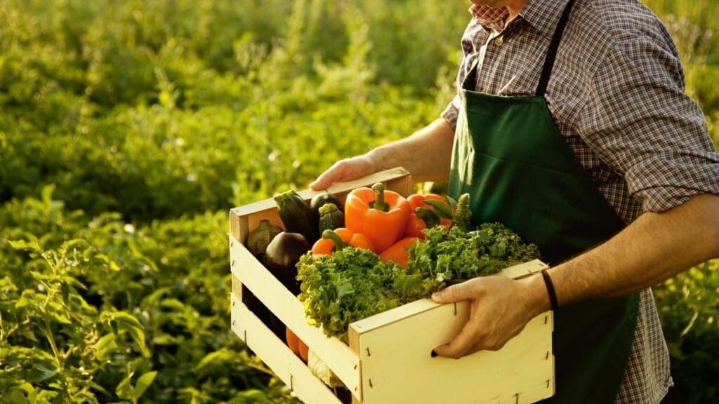 Экспорт сельхозпродукции КР составляет около $40 млрд в год – Бакыт Торобаев