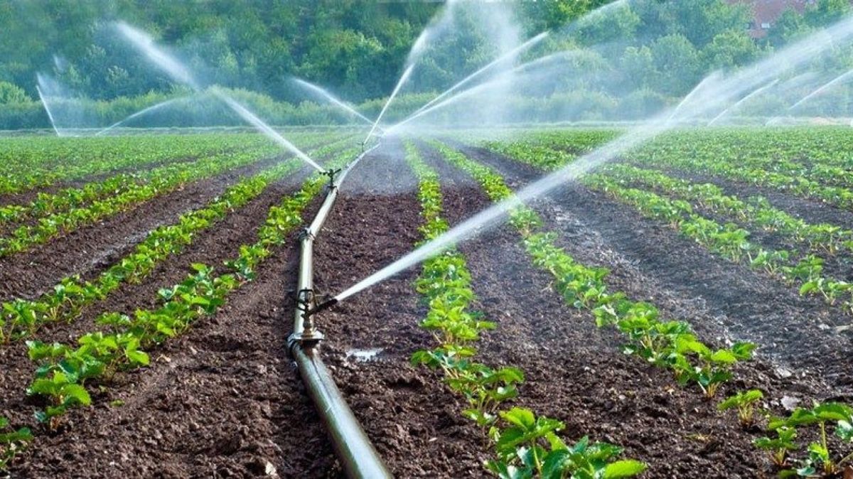 В КР на орошение направили на 81.1 млн м³ воды меньше, чем в прошлом году