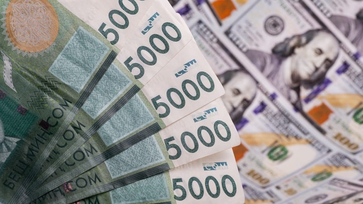 Валютный рынок Кыргызстана остается относительно стабильным – Нацбанк