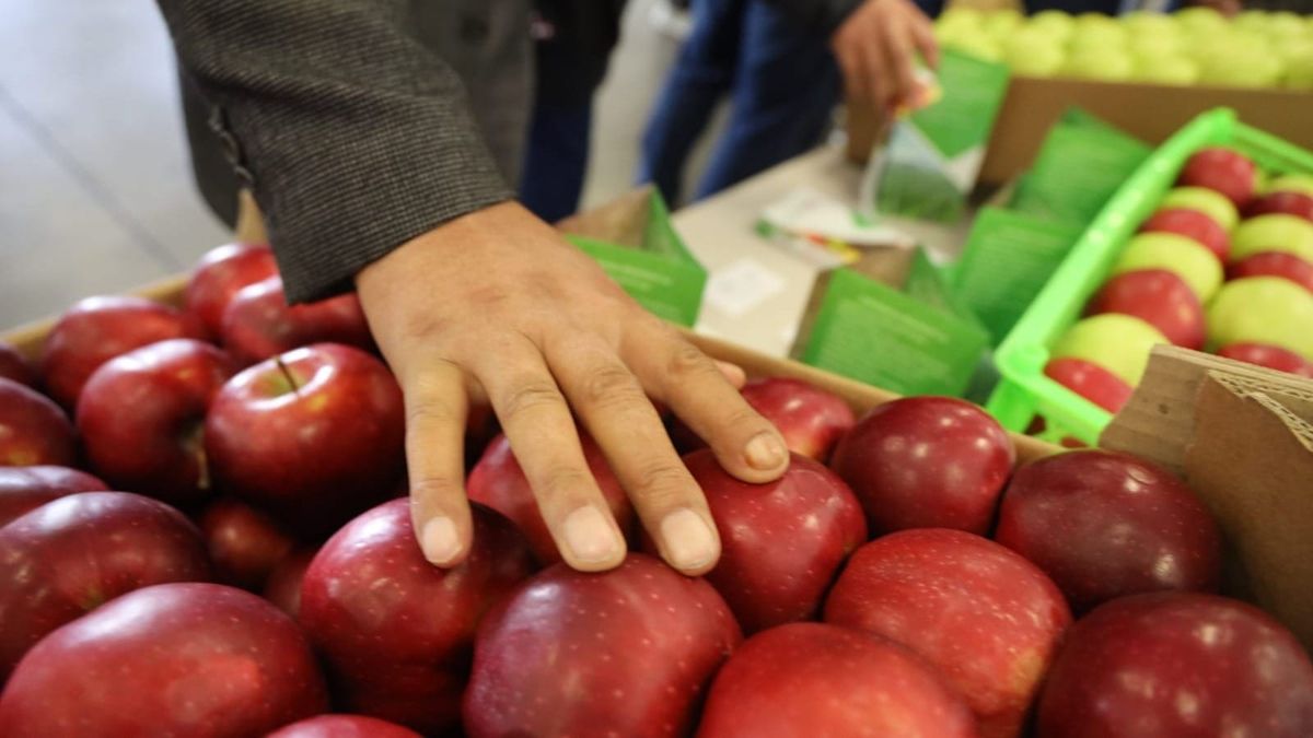 Какая компания из КР экспортирует 90% своей продукции в «Магнит», «Пятерочку» и «Ленту», рассказали в Минсельхозе