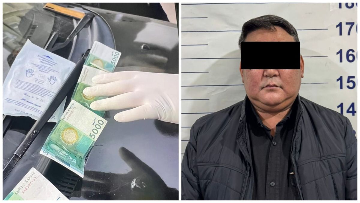 Сотрудник «Кадастра» задержан с поличным при получении взятки