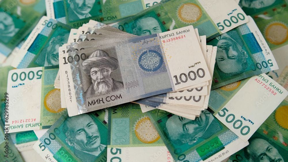 За два месяца Налоговая служба КР собрала 41.5 млрд сомов налогов