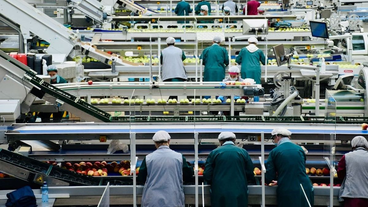 Объем производства продуктов питания и напитков в КР вырос на 20%