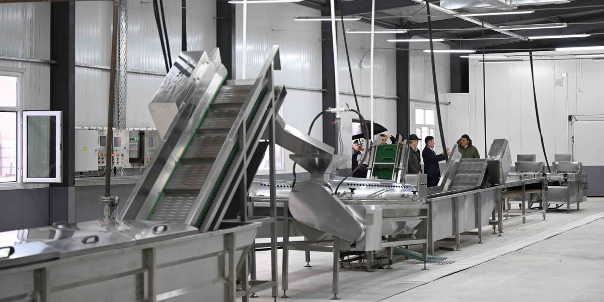 В Нарыне завершается строительство завода по переработке мяса птицы — продукция пойдет в Китай