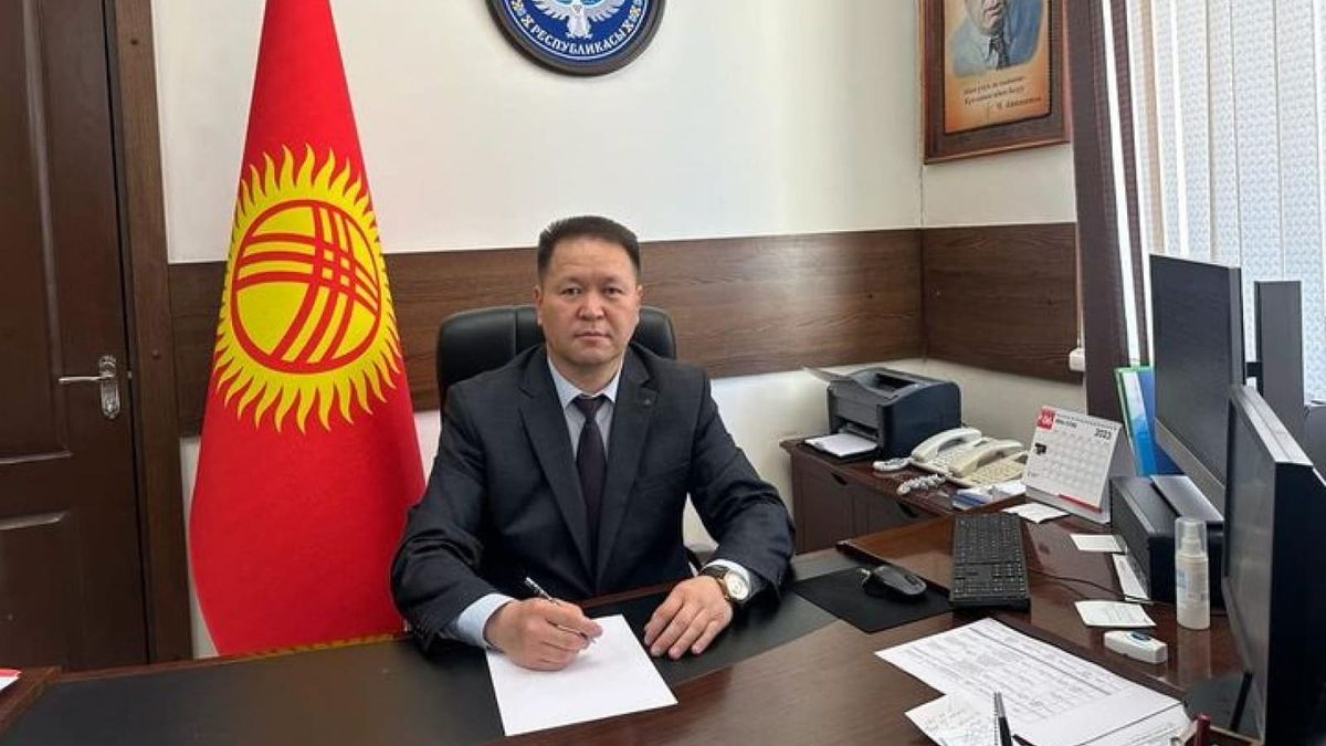 Замглавы Нацинститута стратегических инициатив стал Нурлан Дарданов – он сменил Дуйшенкул кызы Динару