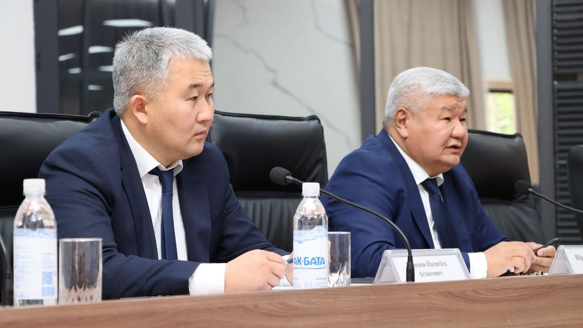 Министр энергетики КР призвал НЭСК усилить работу по снижению потерь в отрасли