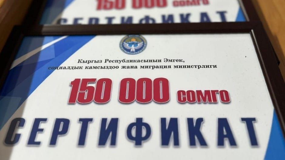 В Нарынской области более 700 семей охвачены социальным контрактом