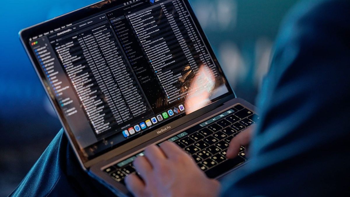 Почему IT-специалисты выбирают Кыргызстан: в ПВТ объяснили причины роста интереса