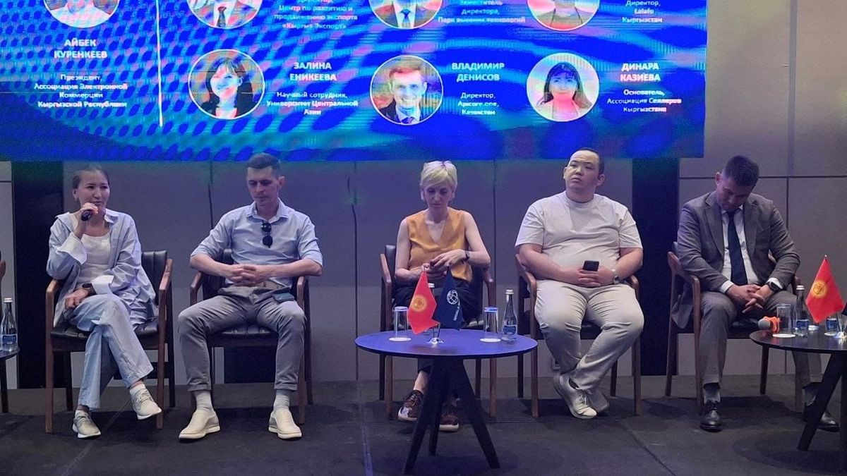 Что мешает селлерам Кыргызстана развивать E-commerce? Мнение Динары Казиевой