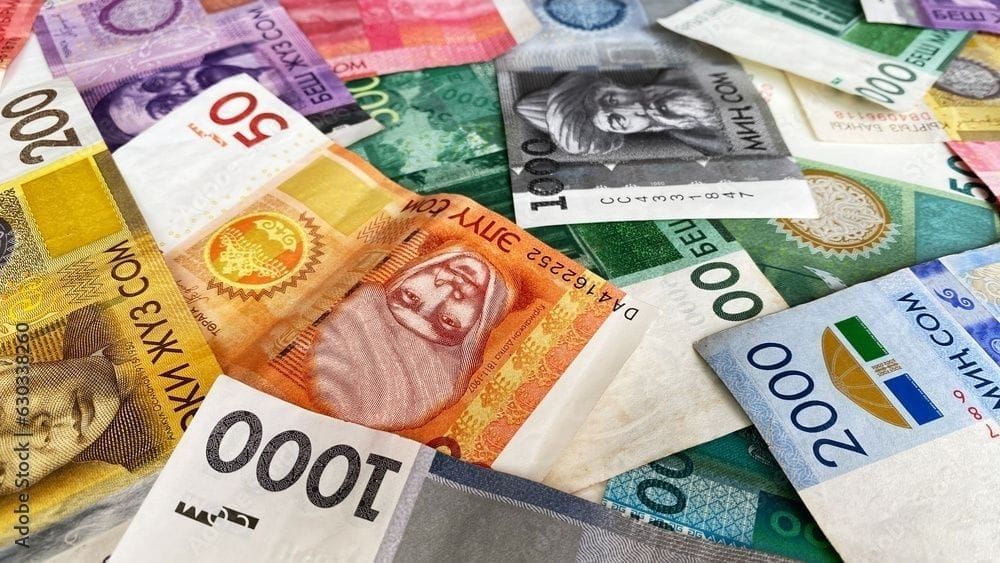 Банки Кыргызстана выдали свыше 8.8 млрд сомов в виде возвратной финансовой помощи