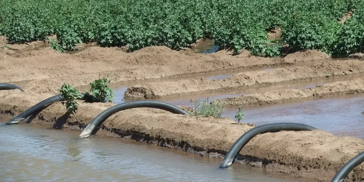 В этом году аграрии получили на 1 млрд м³ больше воды для полива