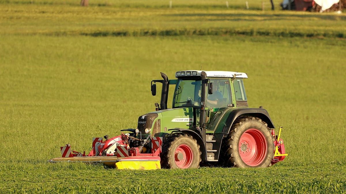 Валовое производство сельхозпродукции выросло на 2.3% с начала года
