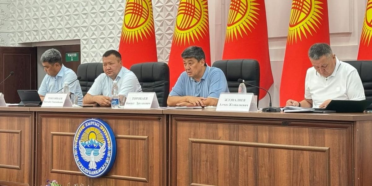 Кабмин определил экономические векторы развития двух районов Баткенской области