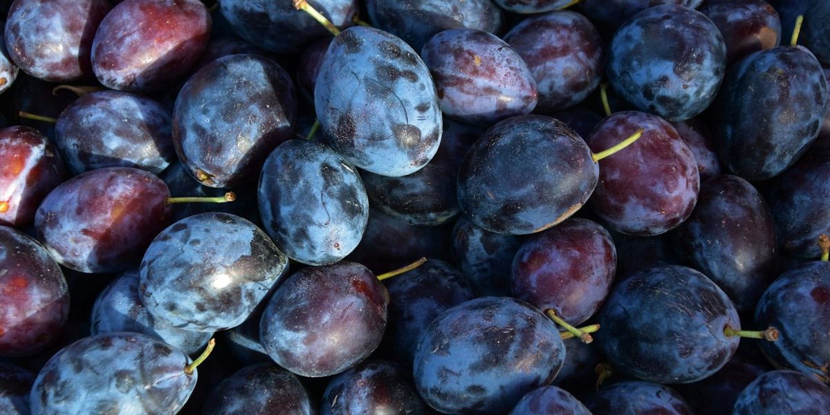 Россельхознадзор не пустил в Челябинскую область 20 тонн слив из Кыргызстана