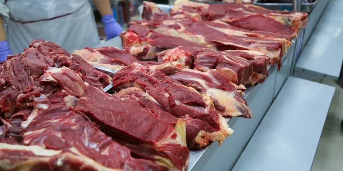 В Таласе проверили цены на мясо: сколько стоят говядина и баранина?