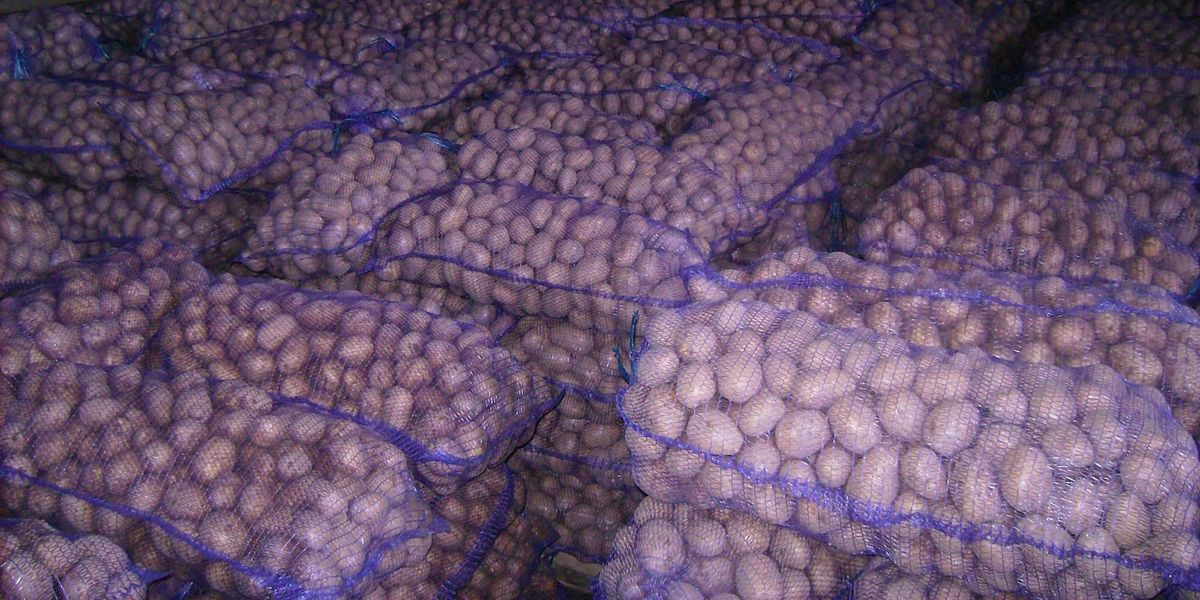 На границе с Китаем в КР не пустили 25 тонн картофеля