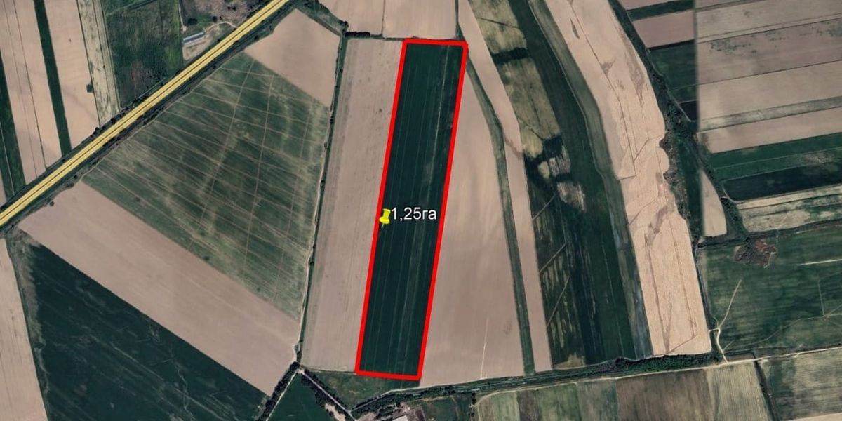 ГКНБ вернуло государству 26.43 гектара земли по делу ОПГ Камчы Кольбаева