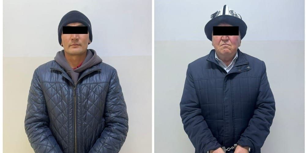 В Таласской области чиновники сдали 60 га госземли родственникам — их задержали