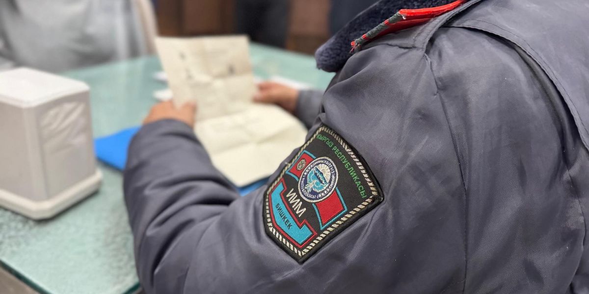 За ноябрь–декабрь МВД оштрафовало иностранцев на 300 тысяч сомов