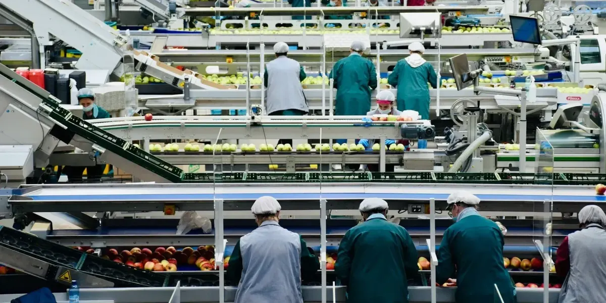 В Кыргызстане за 2025 год открыли 63 агропредприятия и выпустили продукции на 94 млрд сомов