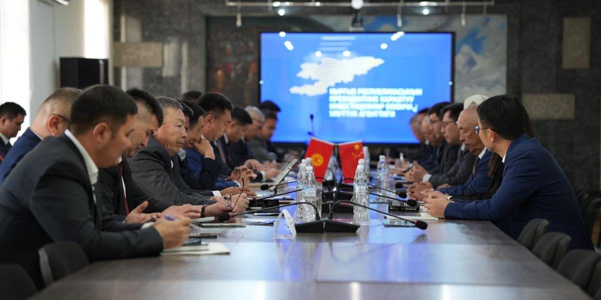 НАИ и PowerChina обсудили строительство ГЭС в Джалал-Абадской области