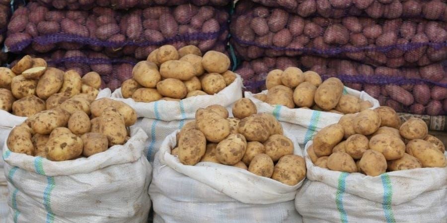 Кыргызстан вернул в Казахстан 22 тонны картофеля из-за отсутствия маркировки