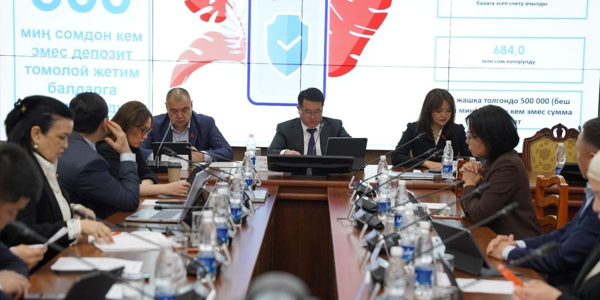 Бюрократия вместо помощи: депутаты ЖК раскритиковали работу Минсоцтруда