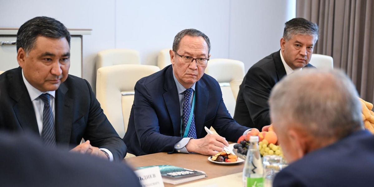 Глава НАИ Равшанбек Сабиров презентовал инвестпотенциал Кыргызстана на KazanForum