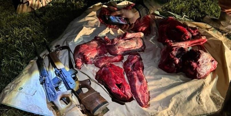 В Нарыне браконьеров поймали на незаконной охоте на козерога