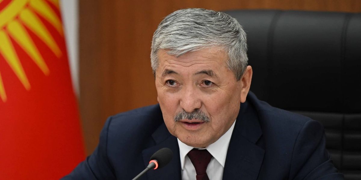 Электронный аудит в КР выявил нарушения на 62.5 млн сомов и сократил проверки до 3 дней