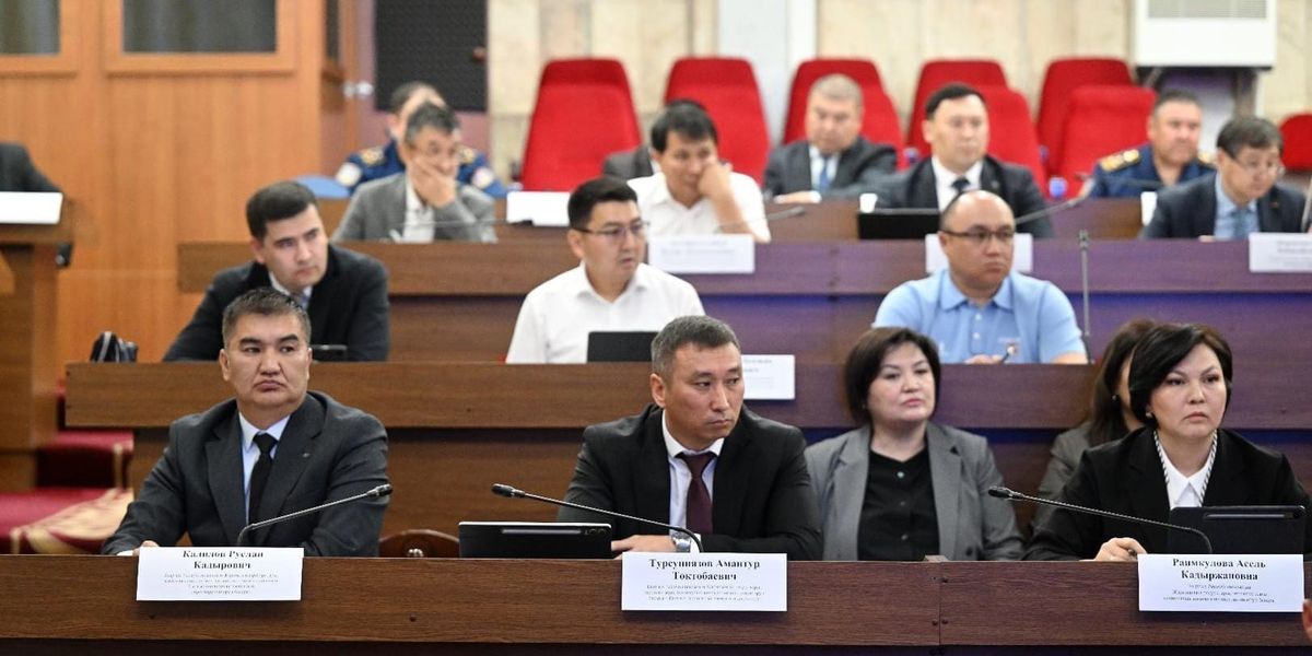 Профильный комитет ЖК одобрил законопроект «О климатической деятельности»