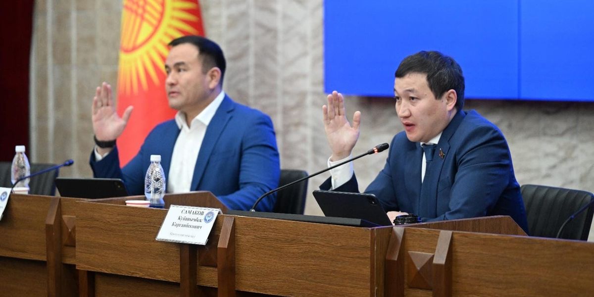 В ЖК предложили создать в Кыргызстане отдельное агентство по защите лесов