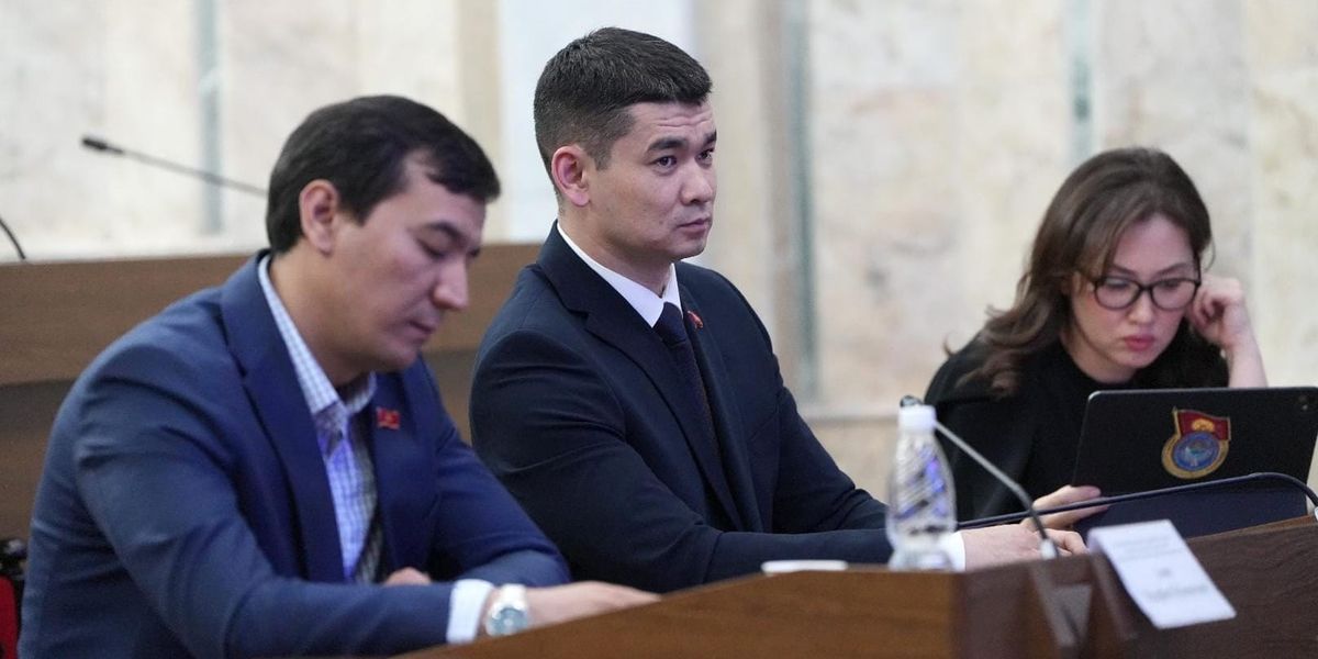Комитет ЖК одобрил поправки к законодательству о выборах и ЦИК