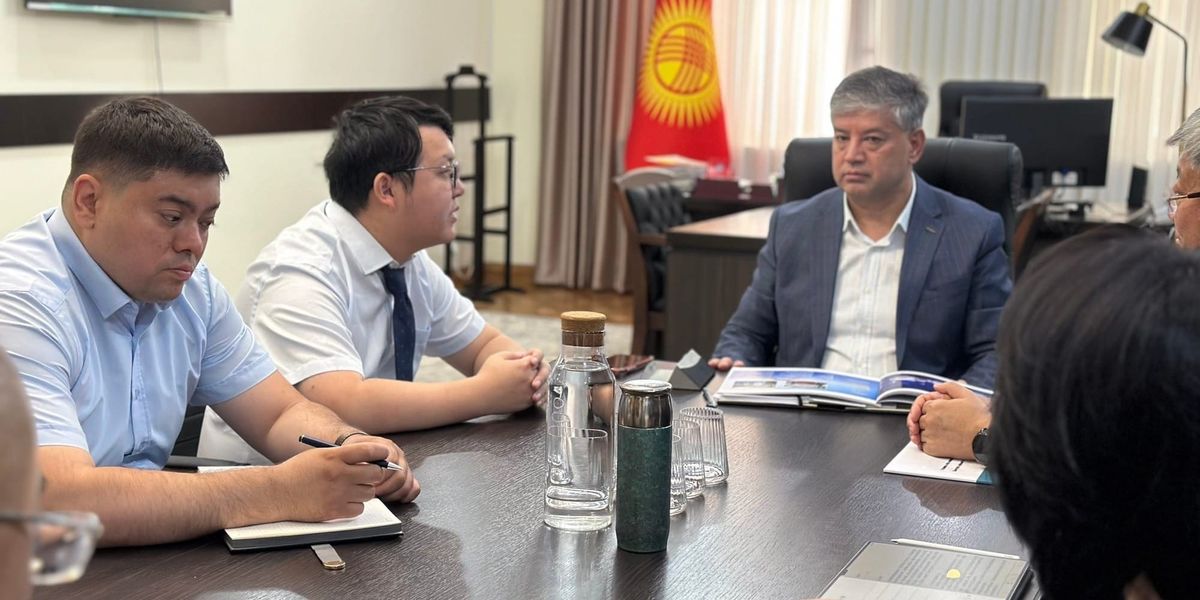 Встреча НАИ с делегацией китайской SL Gemini Energy по проектам ВИЭ и теплоснабжения