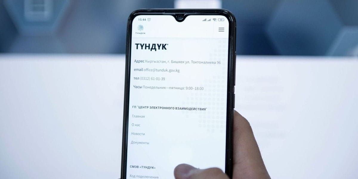 В Кыргызстане упростили процесс оформления пенсий и пособий через «Түндүк»